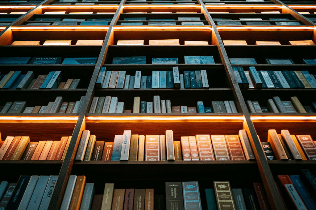 Comment bien structurer ses contenus dans WordPress